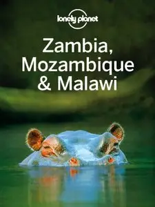 Lonely Planet Zambia, Mozambique & Malawi (Travel Guide)