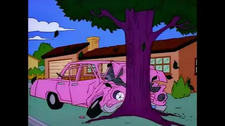 Simpsons S04E12