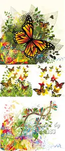 Butterflies & Flowers Cards Vector