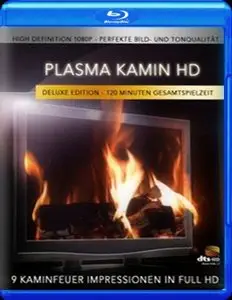 Plasma Fireplace in HD (2008)