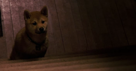 Hachiko: A Dog's Story (2009)