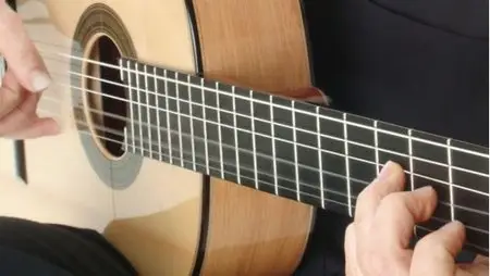 Flamenco Guitar