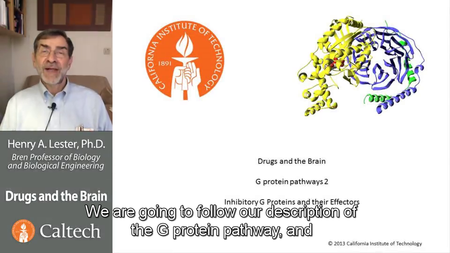 Coursera - Drugs and the Brain [repost]