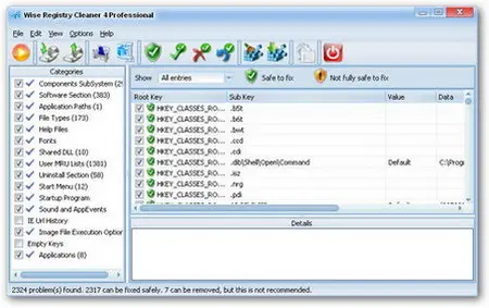 Wise Registry Cleaner Pro 5.12 Build 253 Portable