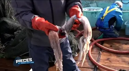 (Fr3) Pièces à conviction : Fukushima, vers une contamination planétaire ? (2014)