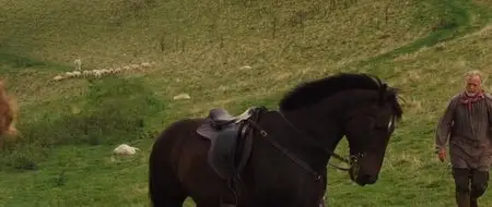 Am gruenen Rand der Welt / Far from the Madding Crowd (2015)