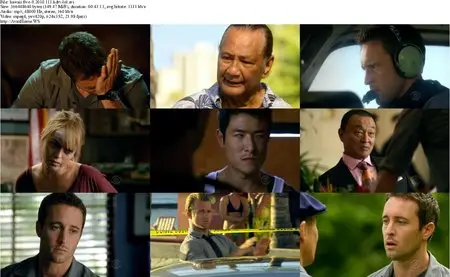 Hawaii Five-0 S01E13