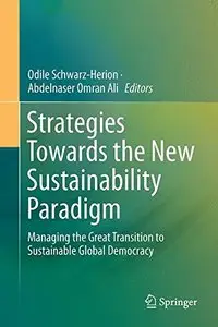 Strategies Towards the New Sustainability Paradigm: Managing the Great Transition to Sustainable Global Democracy (Repost)
