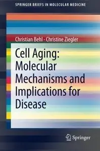 Cell Aging: Molecular Mechanisms and Implications for Disease (Repost)