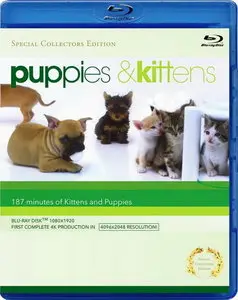 Puppies & Kittens (2009)