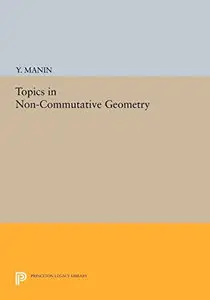 Topics in Noncommutative Geometry
