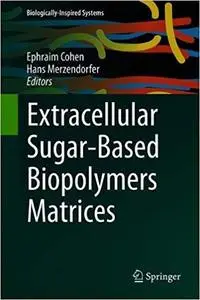 Extracellular Sugar-Based Biopolymers Matrices