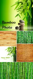 Stock Photo - Bamboo 2
