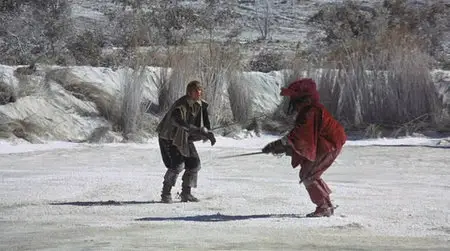 The Four Musketeers (1974)
