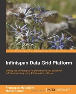 Infinispan Data Grid Platform