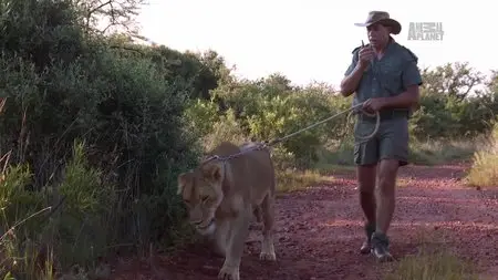 Discovery Channel - Lion Man: One World African Safari (2015)