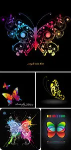 Abstract Butterfly Vector