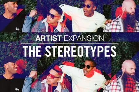 Native Instruments Artist Expansion The Stereotypes v1.0.0 MASCHiNE & BATTERY