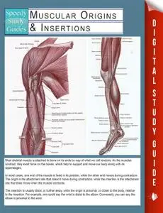 «Muscular Origins & Insertions (Speedy Study Guides)» by Speedy Publishing