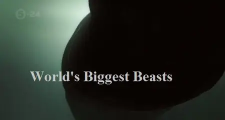 Channel 5 - World's Biggest Beasts (2015)