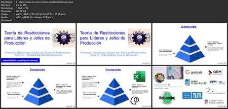 Teoría De Restricciones Para Líderes Y Jefes De Producción