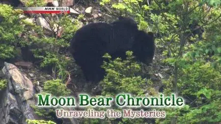 NHK - Moon Bear Chronicle: Unraveling the Mysteries (2017)