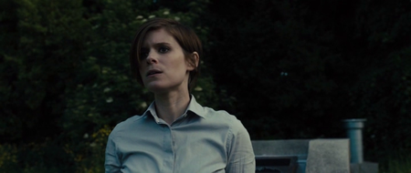 Morgan (2016)