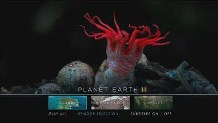 Planet Earth II (2016) [ReUp]
