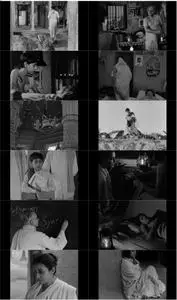 Aparajito (1956) + Extras [The Criterion Collectioon]