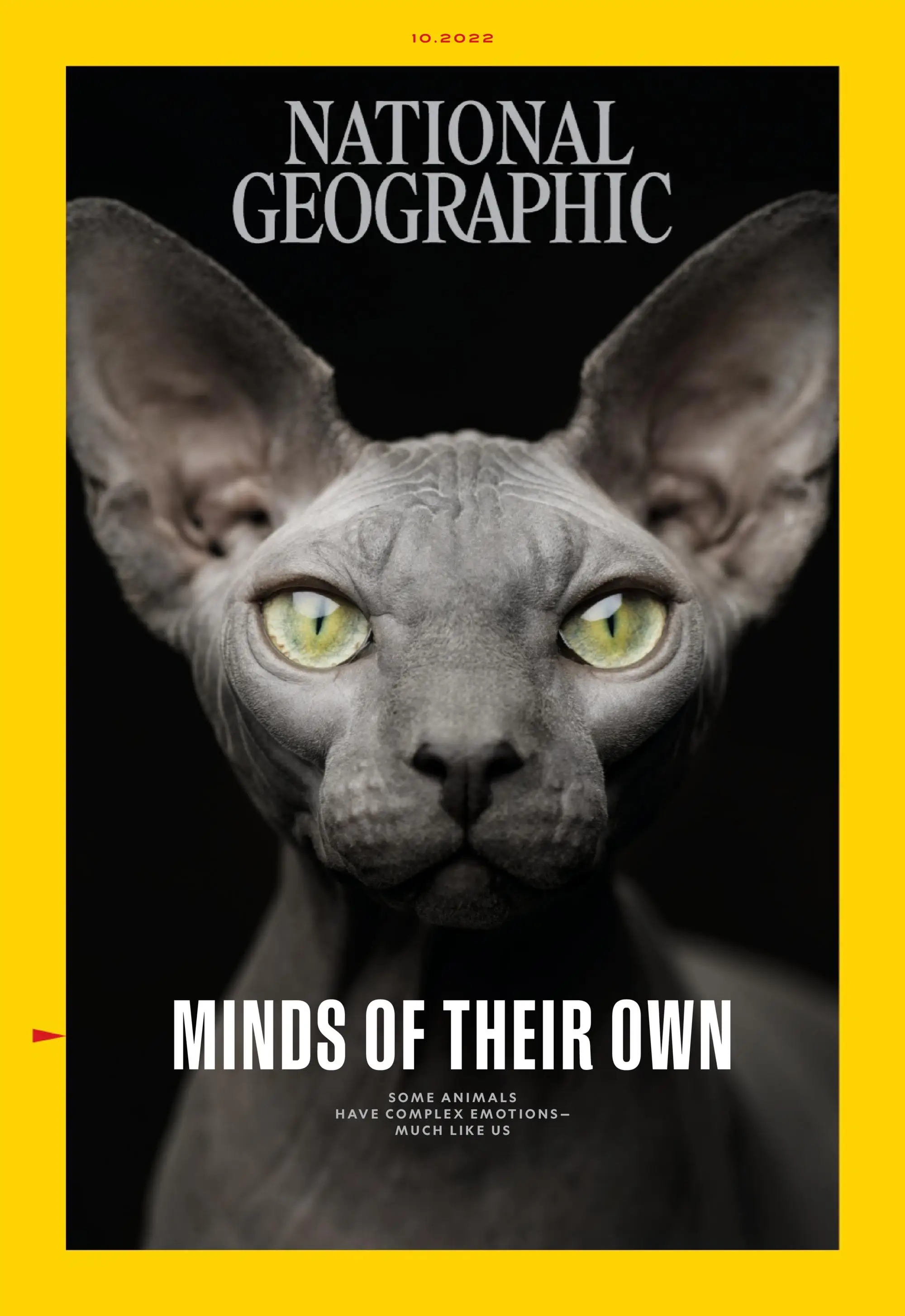 美國國家地理雜志National Geographic USA 2022年10月