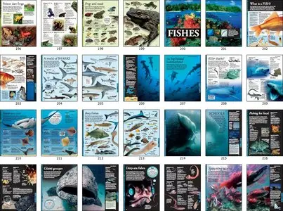 Animals: A Visual Encyclopedia, 2nd Edition