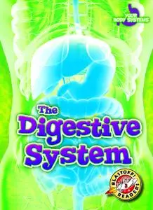 The Digestive System