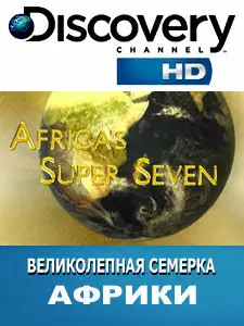 Великолепная семерка Африки