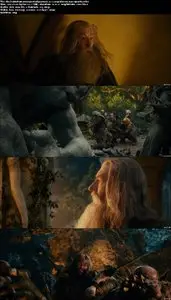  The Hobbit: An Unexpected Journey (2012) 