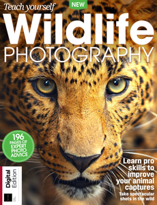 Teach Yourself Wildlife Photography, 3rd Edition