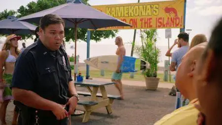 Hawaii Five-0 S08E14