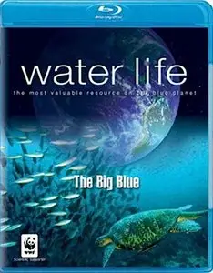 Water Life (2008) [Box Set]