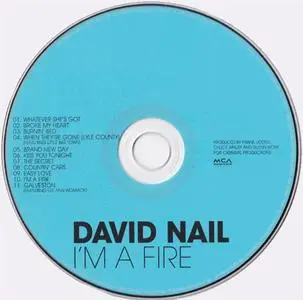 David Nail - I’m A Fire (2014) {MCA Nashville}