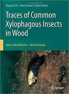 Traces of Common Xylophagous Insects in Wood: Atlas of Identification - Western Europe