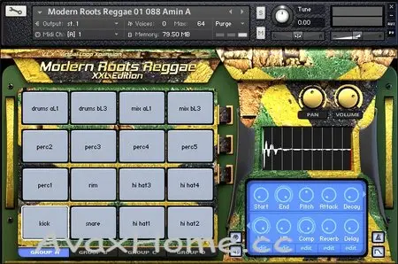 VIP Loops and Big Fish Audio Modern Roots Reggae XXL KONTAKT