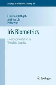 Iris Biometrics: From Segmentation to Template Security