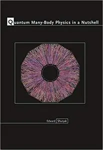 Quantum Many-Body Physics in a Nutshell