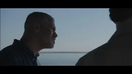 Bull Shark 3 (2024)