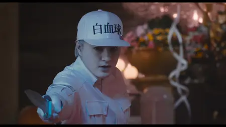 Hataraku saibou / Cells at Work! (2024)