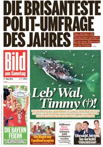 Bild am Sonntag - 17 Mai 2026