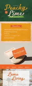 Peachy Lime - Retro Script Font BD62X9C