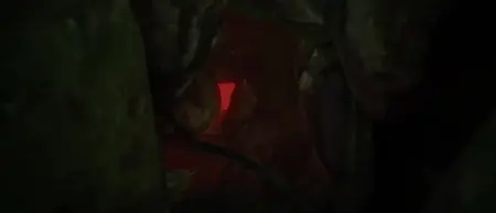 Lord of Mysteries - 06 (480p