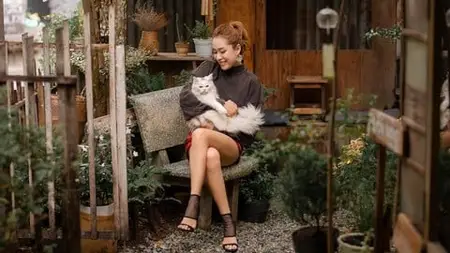 Pet Sitting And House Sitting: From Side Gig To Career