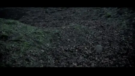 The Dead Outside (2008)