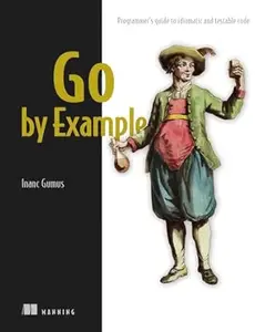 Effective Go: Programmer's Guide to Idiomatic and Testable Code